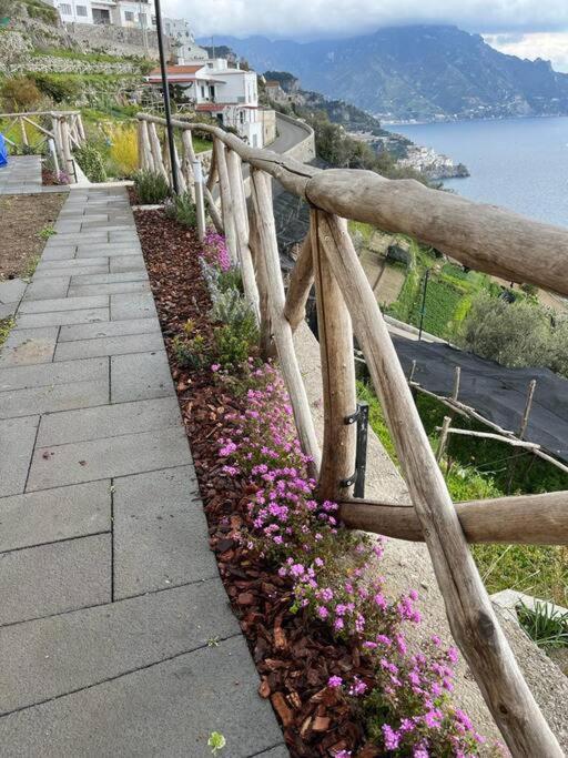 Alba - Zaffiro Apartment