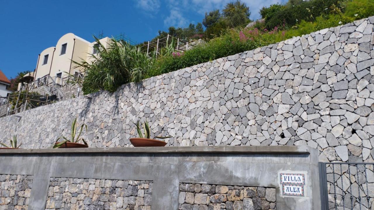 Apartment Alba - Zaffiro
